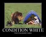 Condition White.jpg