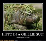 demotivational-posters-hippo-in-a-ghillie-suit.jpg
