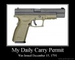 daily carry permit.jpg
