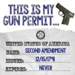 Gun Permit.jpg