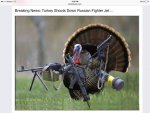Turkey shoots down Russian Fighter Jet for Thanksgiving.jpg