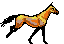 bayrun6.gif