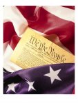 why-terry-us-flag-constitution-1104787.jpg