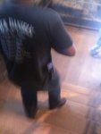 BASS3.jpg BASS3.jpg