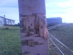 DSC00122.JPG