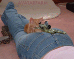 Kitten Sniper.gif