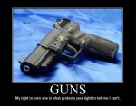 gun rights.jpg