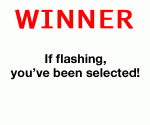 flash_winner_300x250.gif