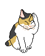cat01_e0.gif
