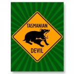 tasmanian_devil.jpg