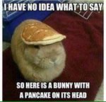 Bunny Pancake Head.jpg