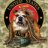 Bulldog1967